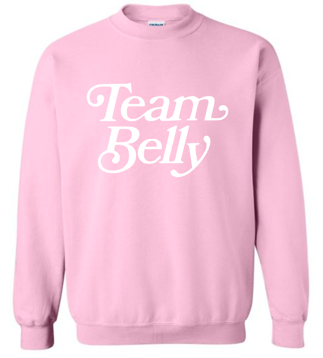 Summer I Turned Pretty Team Crew Neck Sweatshirt