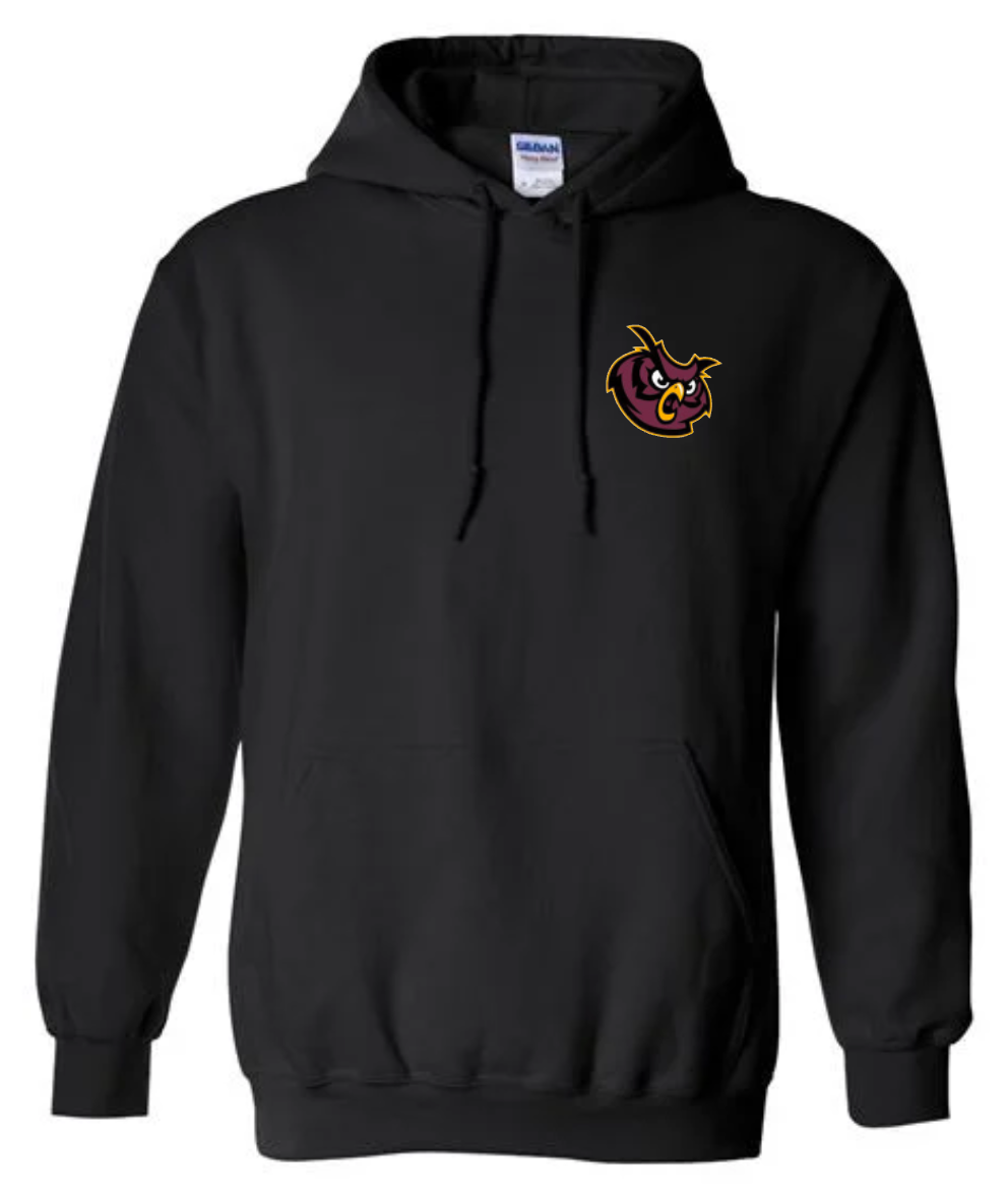 We Are Park Ridge Owl Hoodie Sweatshirt