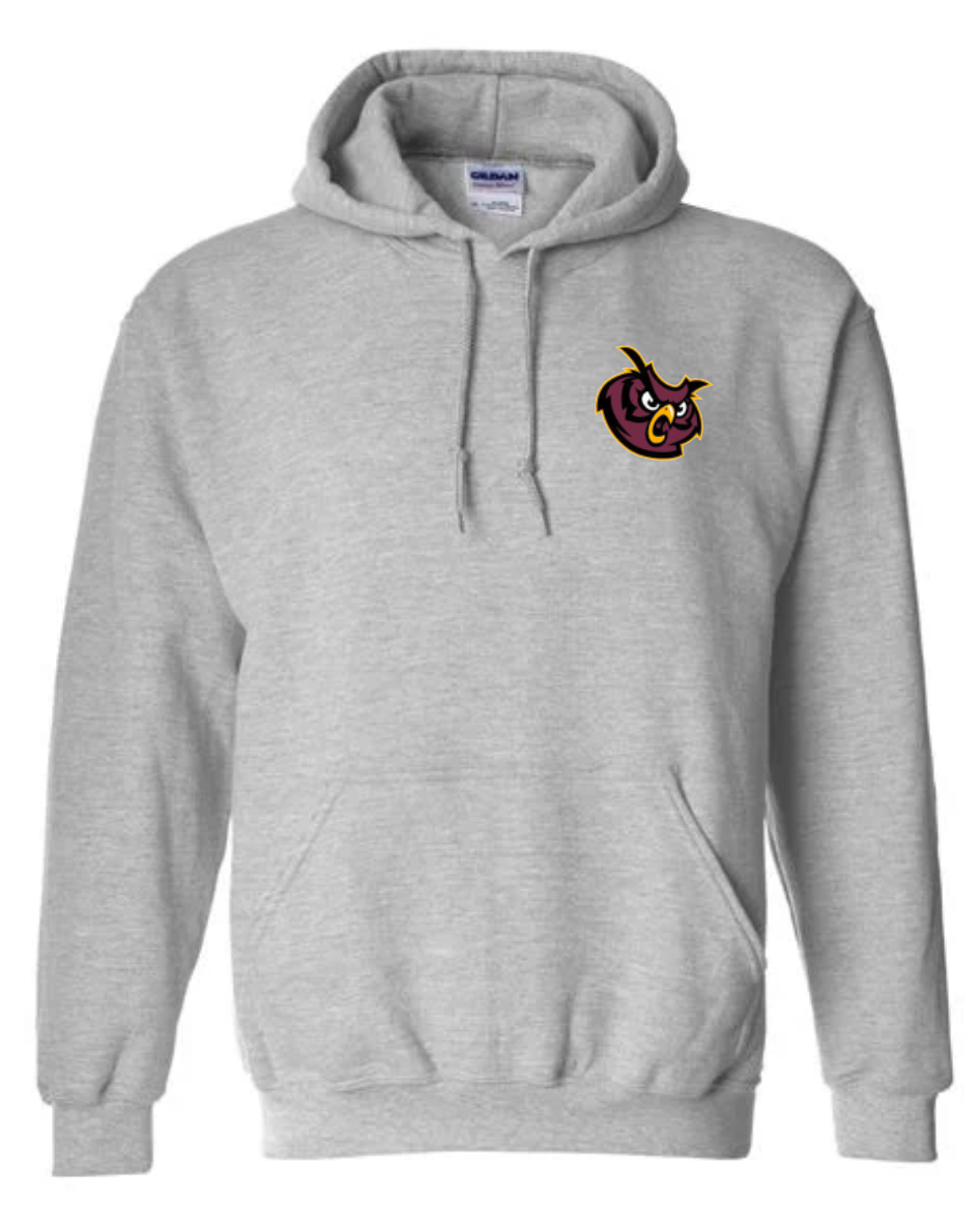 We Are Park Ridge Owl Hoodie Sweatshirt