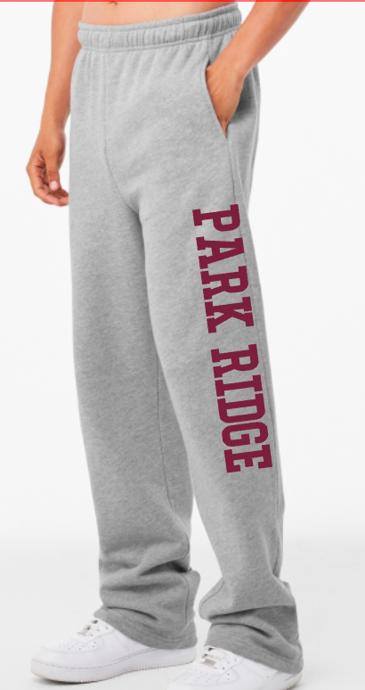 We Are Park Ridge Sweatpants - Gray